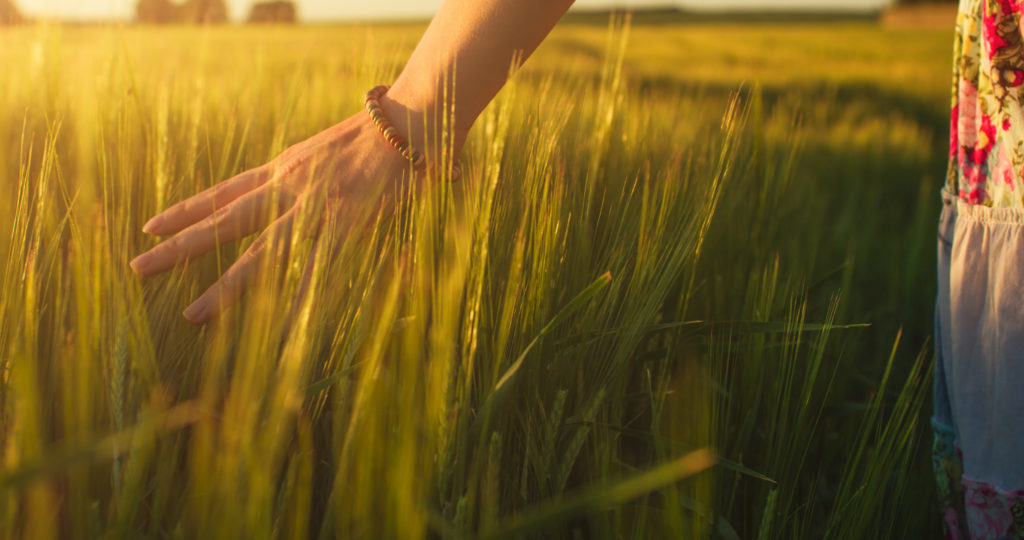 Crop Protection Platinum Ag Services